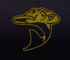 1. Frisbeesport Club Hamburg