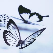 Butterflies Round Dance Club