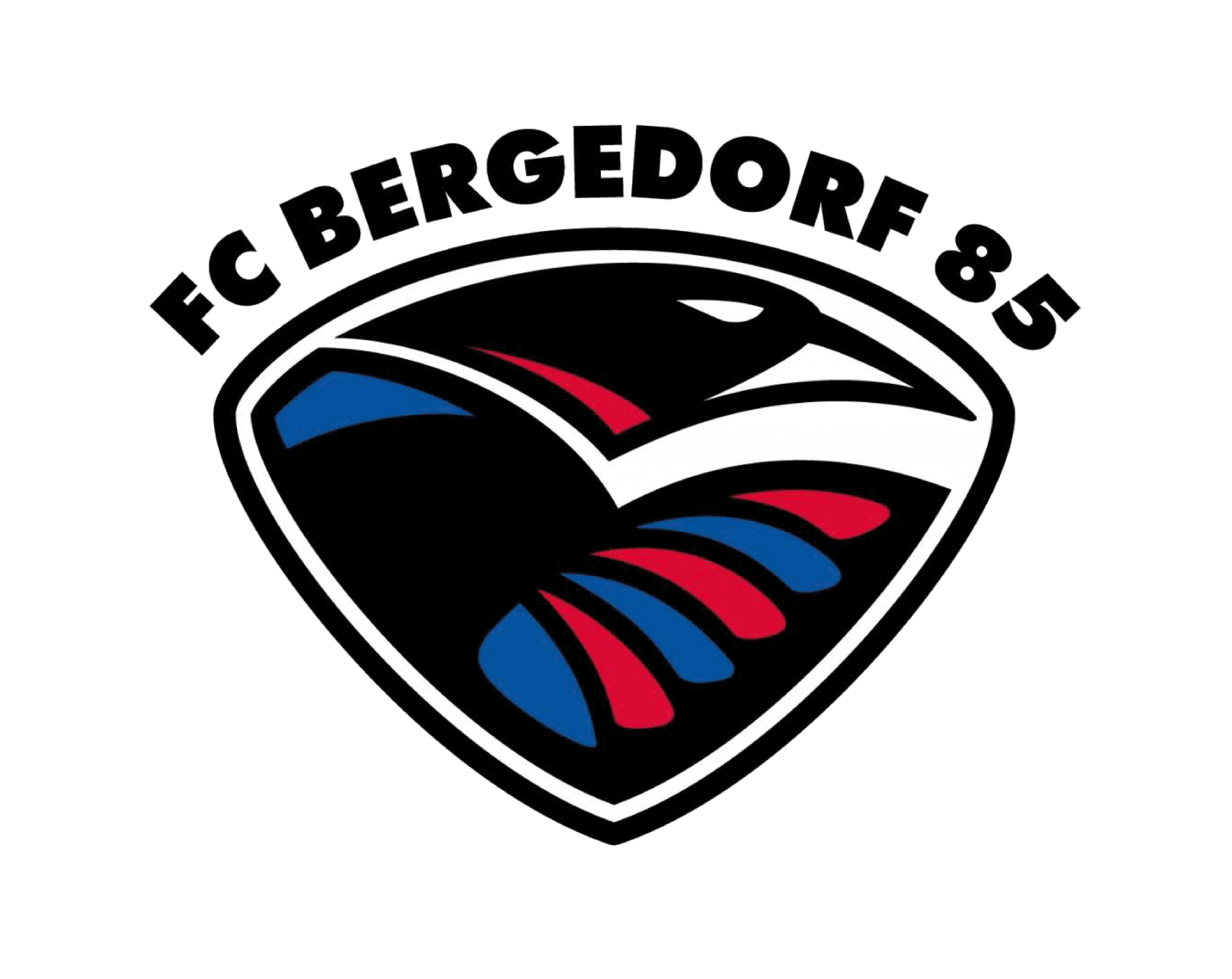 FC Bergedorf 85