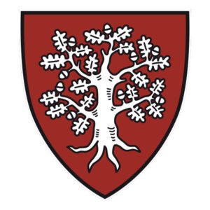 Hammaborg – Historischer Schwertkampf