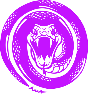 1. AFC Bremen Venom