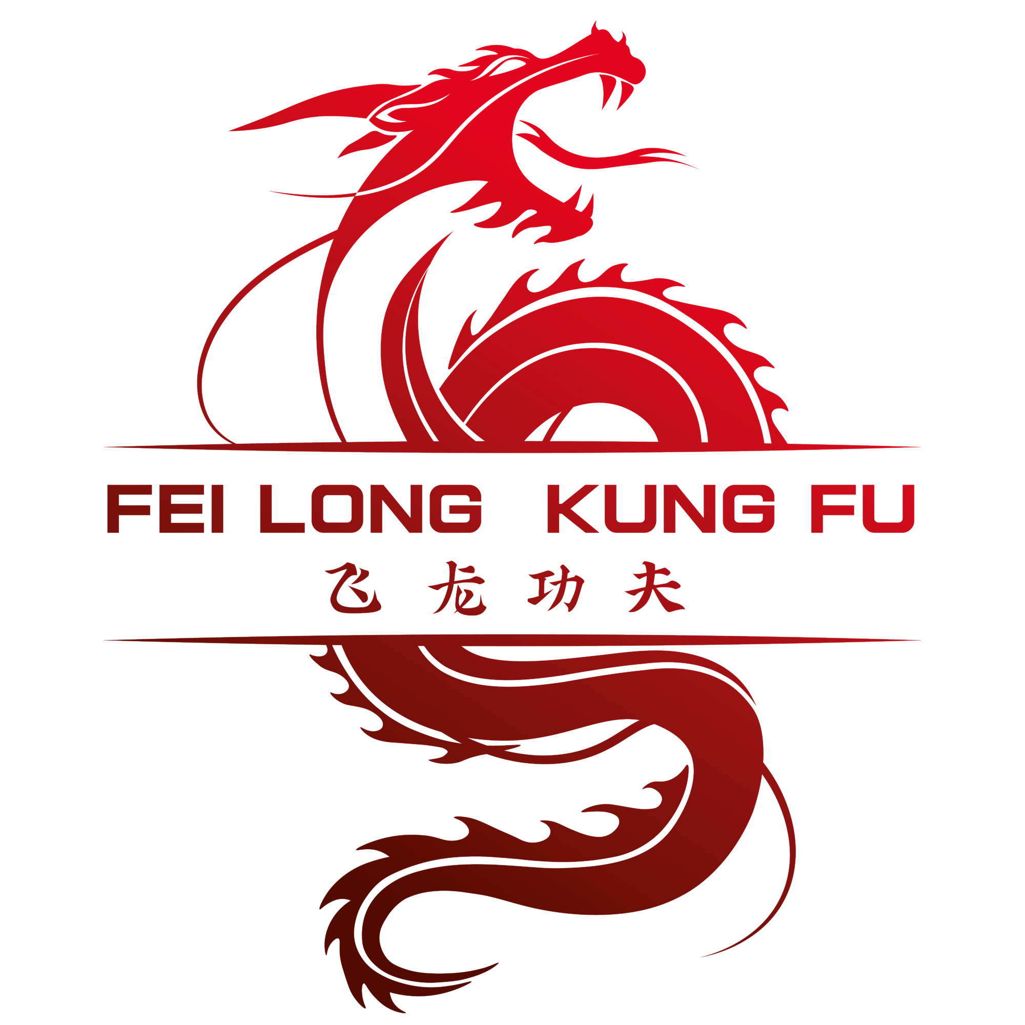 Fei Long Kung Fu