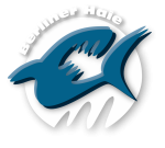 SSV Berliner Haie