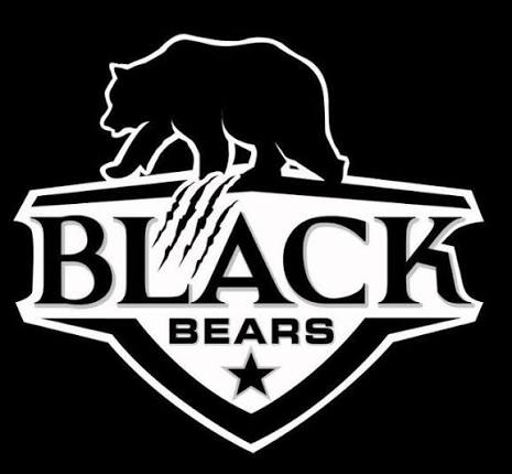 Black Bears Potsdam