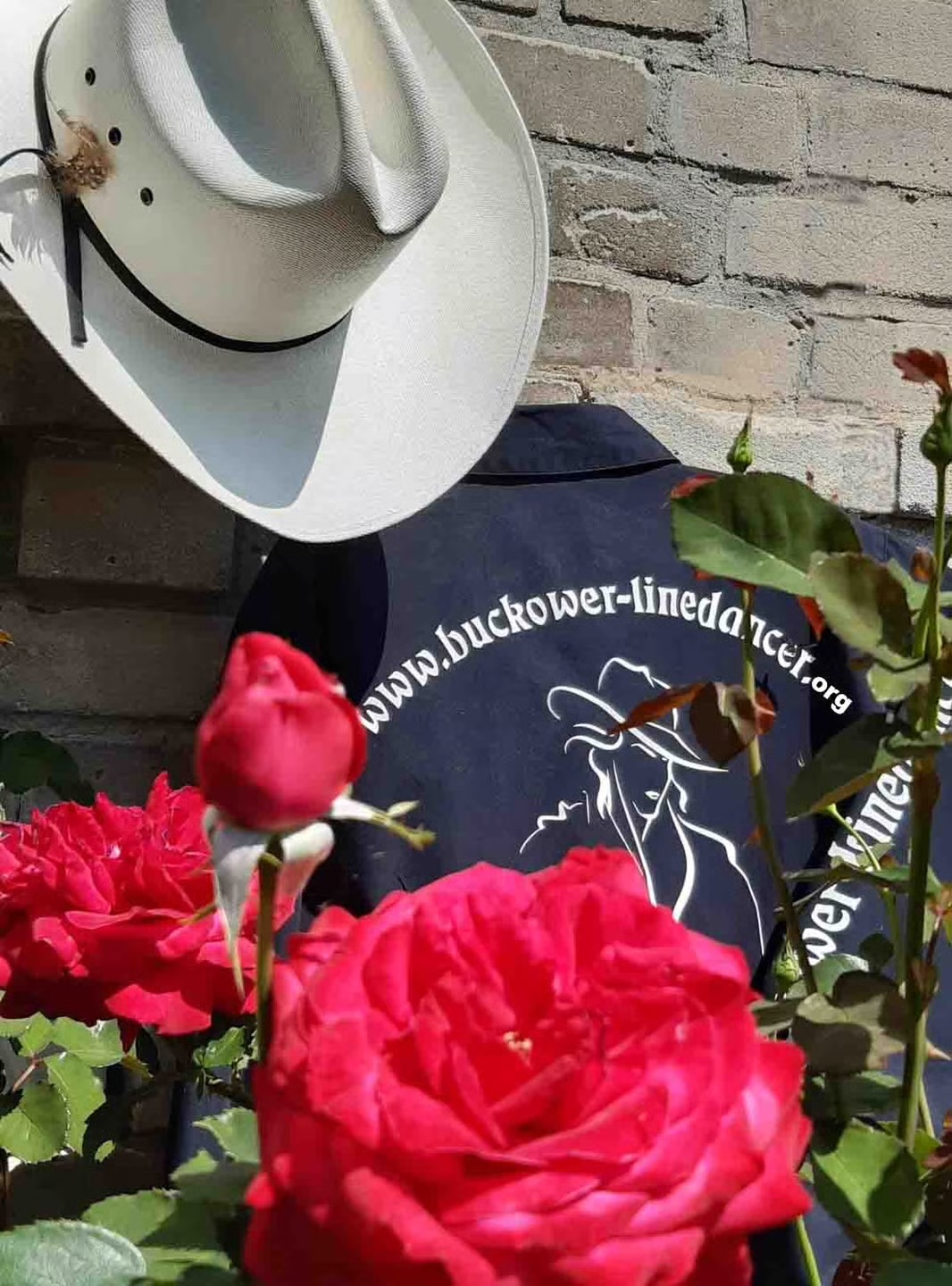 Buckower Linedancer