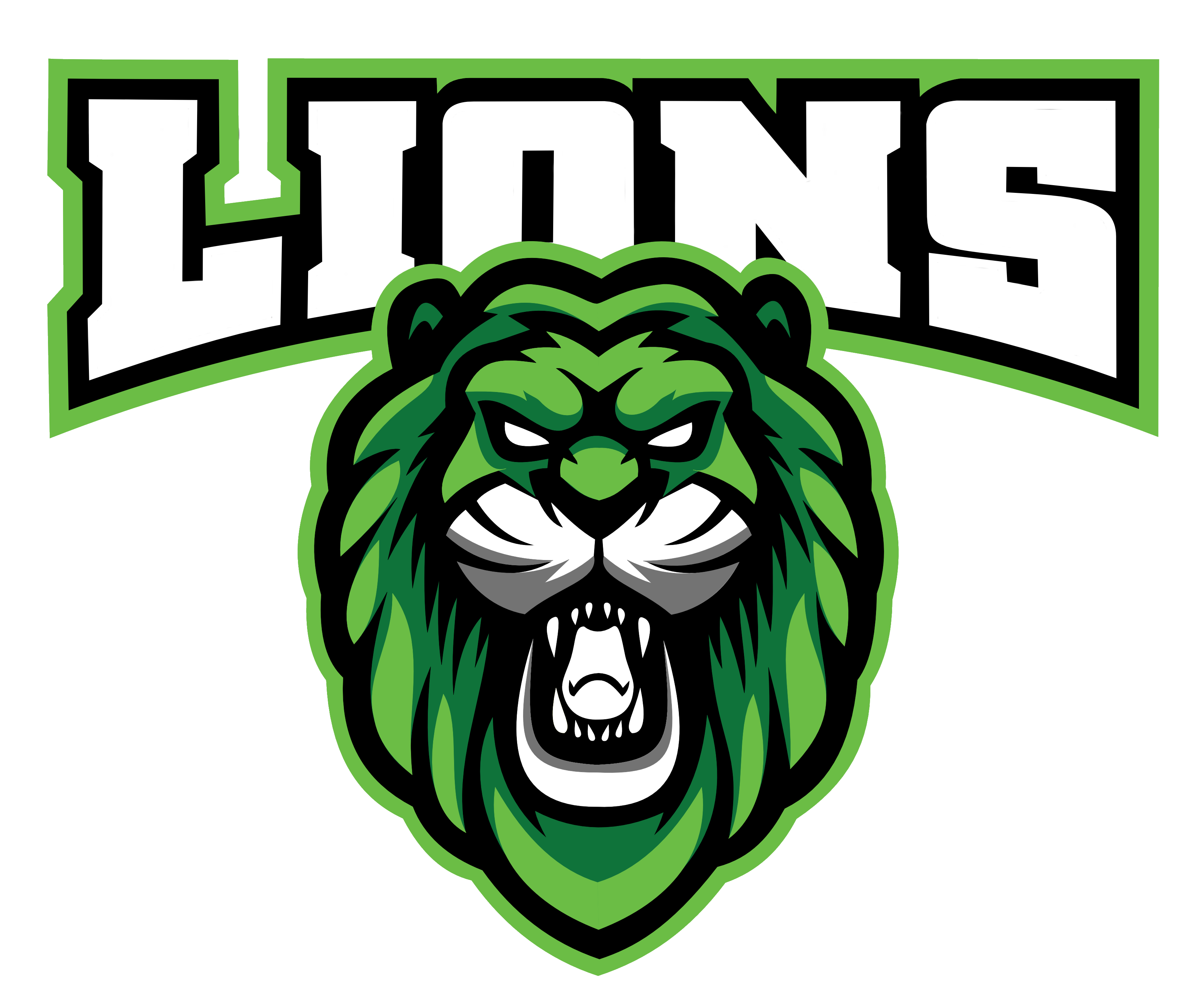 ERC Wunstorf Lions