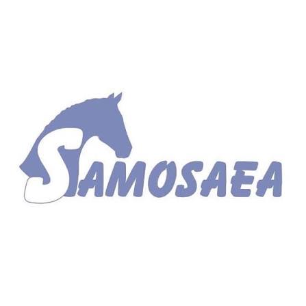 SAMOSAEA - Reitverein für therapeutisches Reiten und Breitensport