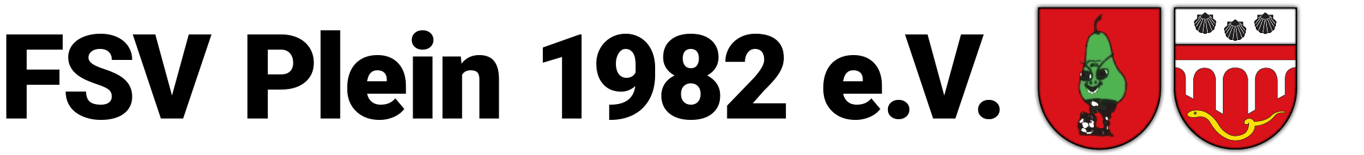 FSV Plein