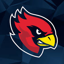 Assindia Cardinals