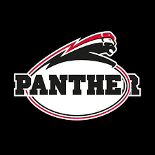 Düsseldorf Panther