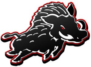 AFC Erkner Razorbacks