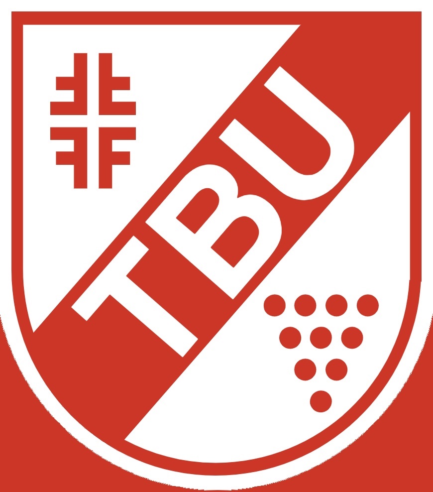 TB Untertürkheim
