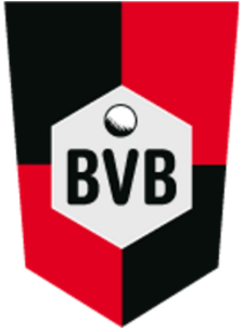 SV BVB 49