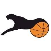 Ahorn Panther Paderborn