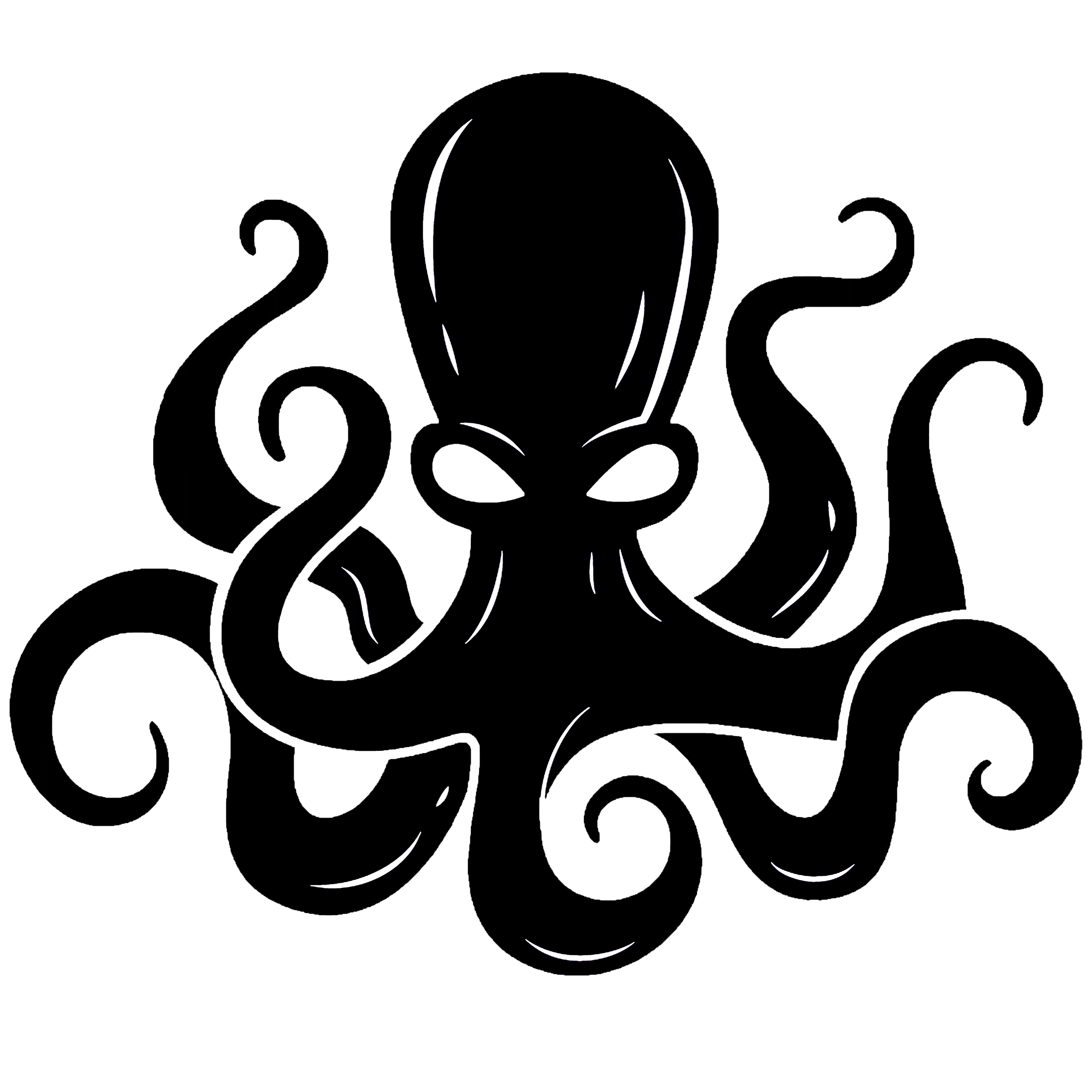 OCTA Brazilian Jiu Jitsu Frankenberg