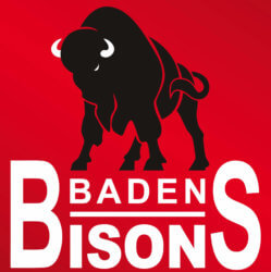 Baden Bisons Ispringen