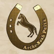 Reitverein Arche-Noah Peitz
